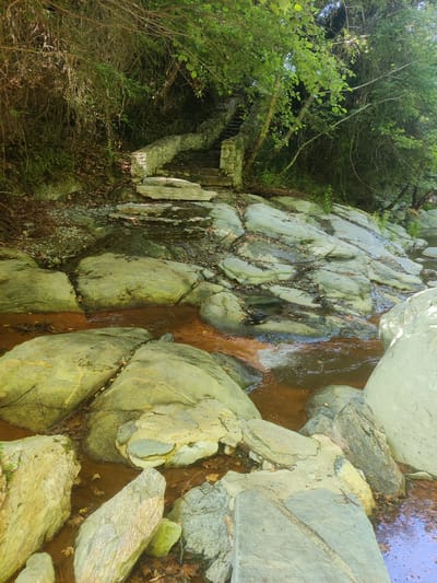 The image depicts a stone staircase ascending a rocky incline adjacent to a shallow, brown-tinted stream. The staircase is constructed from rough-hewn stone blocks and appears weathered. The stream flows over large, smooth, light-colored rocks covered in patches of moss and dried leaves. Dense green foliage overhangs the scene from the left and top, creating dappled sunlight. The surrounding environment is natural and appears to be a park or natural preserve within the Municipal Unit of Evryménon, Greece. No people are present in the image.