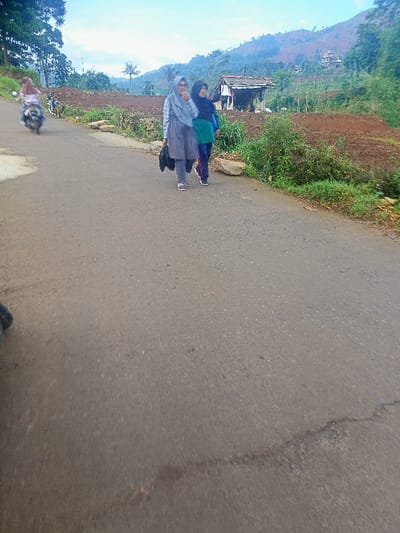 The image portrays a daytime scene of two women walking on a paved road in a hilly, rural landscape, specifically in Kecamatan Pangalengan, Indonesia. Both women are wearing hijabs; the one closer to the camera has a light grey hijab and outfit, carrying a black bag, while her companion wears a dark blue hijab with a green top and dark blue pants. Their expressions are neutral, with one looking towards the camera and the other slightly to the side.
Further in the background on the left, a person on a motorbike, also appearing to wear a hijab, is riding away from the viewer. The road surface is grey asphalt, showing some wear. To the right of the road, the terrain consists of large sections of reddish-brown, tilled earth, indicative of agricultural fields, interspersed with patches of green vegetation and rocks.
The background is dominated by rolling hills and mountains covered in a mix of dense greenery and some areas that appear to be cultivated or cleared. A small, rustic wooden structure or shack is visible on the distant hillside, blending into the environment. The sky is a clear light blue with a few scattered clouds, suggesting pleasant weather. The soft, diffused lighting implies it is either morning or late afternoon. There is no visible text in the image. The overall scene captures a moment of daily life in a tranquil, agricultural region.