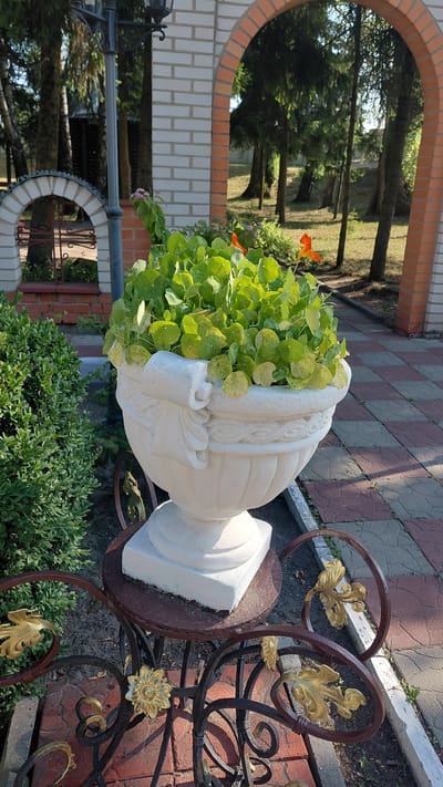 The image shows a white planter filled with green leafy plants and a few orange flowers. The planter is on a decorative metal stand. In the background, there is a brick archway with trees visible beyond it. A lamppost and a small white arched structure with a decorative gate are also present. The ground is paved with interlocking stones. The scene appears to be outdoors, possibly in a garden or park area. The location is stated to be in Borodianka, Ukraine. There are no people visible in the image.