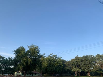The image depicts an outdoor daytime scene in Kubi A, Nigeria, characterized by a clear blue sky occupying the upper two-thirds of the frame. A dense line of green deciduous trees with full foliage spans the lower third. Partially visible behind the trees on the left are single-story structures with light green walls and darker roofs. A dark-colored sedan is parked behind trees in the mid-left portion. On the far right, one individual in a light-colored shirt is visible standing near the base of a tree. Several utility wires traverse the mid-right sky horizontally above the treeline.
