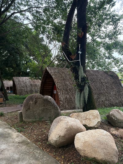 The image depicts a cluster of A-frame huts with thatched roofs, set in a natural environment with lush green trees and vegetation. Several large rocks are scattered in the foreground, with a paved pathway and a concrete border visible. The huts appear to be part of a resort or lodging facility. One hut, in the foreground, has a wooden door with some signage. Another hut further back shows a trailer hitched to a vehicle. A tree with epiphytic plants and hanging moss is prominent in the center, with two lighting fixtures attached to its trunk. The overall scene suggests a tranquil, outdoor setting in a tropical or subtropical region. The location is identified as being in the city of Khánh Vĩnh, Vietnam.
