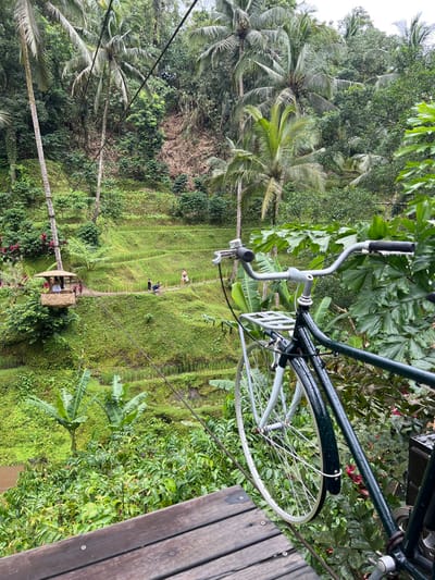 The image displays a lush, terraced landscape in Tegal Suci, Indonesia, viewed from an elevated wooden platform. In the foreground, dark wooden planks form the viewing platform. A dark green vintage-style bicycle, featuring a light-colored front wheel, silver handlebars with black grips, a bell, and a silver rear rack, is suspended partially over the platform's edge on the right. Below the platform, dense tropical foliage, including large-leaved plants resembling banana trees, fills a deep ravine.
The midground is dominated by multiple tiers of vibrant green rice paddies, meticulously carved into the hillside. A narrow dirt path winds horizontally through these paddies. Three individuals are visible on the path: two near the center appearing to stand or walk, and a third further right, walking away from the viewer. To the far left, a distinctive circular hut with a thatched roof is elevated on a platform secured to a tall palm tree; two people are inside this hut. Thin cables stretch across the scene, extending from the foreground into the midground.
The background consists of a steeply rising, densely forested hillside, rich with numerous tall palm trees and various tropical plants under an overcast, light gray sky.