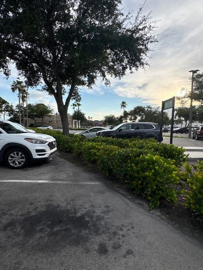 The image captures a parking lot scene in South Venice, Florida, United States of America. In the foreground, the front passenger side of a white SUV is visible, parked on asphalt with white parking lines. A dark wet patch is present on the asphalt in front of the white SUV. To the right, a dense hedge of green bushes lines the parking lot. Behind the hedge, a dark gray SUV is parked. Further in the background, various other vehicles are parked, including a white sedan and a black SUV. A tall sign with a shopping cart icon and text is visible behind the dark gray SUV. A street light on a pole stands to the right of the sign. Trees, including a large one with a thick trunk and branches casting shadows, and palm trees, are scattered throughout the scene. The sky above is partly cloudy with a bright sun setting or rising on the right side of the frame. Buildings with beige facades and awnings are visible in the distance.