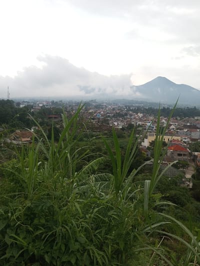 This image displays an elevated, panoramic view of the city of Bhupalpally, India, under an overcast sky. The immediate foreground is densely covered with vibrant green, tall-bladed grasses and various other leafy plants, suggesting a vegetated slope. Beyond this flora, the midground encompasses a sprawling urban landscape featuring numerous closely clustered buildings with diverse roof colors, including red, orange, grey, and white, indicative of mixed residential and commercial structures. Greenery, in the form of trees, is interspersed within the city. A tall, slender communication tower is visible on a distant wooded hill to the far left. In the background, a prominent, imposing mountain with a distinct peak rises on the right, partially obscured by thick clouds and atmospheric haze that extend across the grey and white sky. No human figures or specific actions are discernible within the frame.