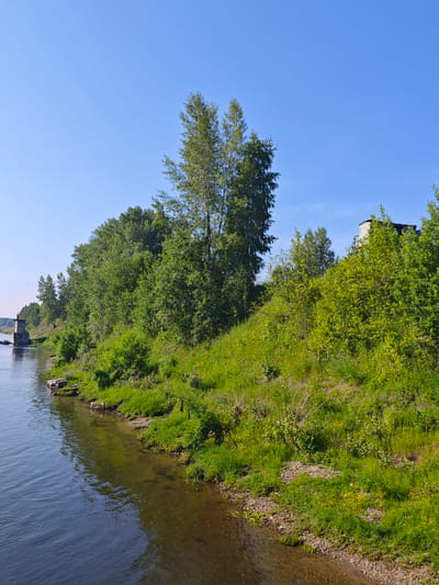 A naturalistic wide shot captures a riverbank with lush green vegetation under a clear blue sky. The river, on the left, reflects the sky and trees. The bank is covered in grass, with a few small rocks visible along the water's edge. A dense line of trees and shrubs runs along the top of the bank, obscuring the distant landscape. In the upper right, a partially visible white building with a dark roof stands amongst the trees. In the far left of the image, a concrete structure, possibly a bridge abutment, rises from the river. The scene appears to be located in a rural or natural setting within or near Galanino, Russia, as suggested by the reference. There are no people or animals visible in the image.