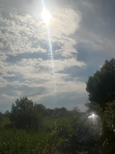 The image depicts an outdoor scene, likely captured from a moving vehicle, given the perspective and the reflections on a surface. The primary subjects are the sky, filled with white, puffy clouds against a bright blue backdrop, and lush green foliage, suggesting a natural environment. Sunlight is a prominent element, casting a bright glare and creating lens flare effects, particularly on the left side of the image. The sun's intensity implies it is daytime, likely midday or afternoon.
The foliage appears dense and verdant, indicative of a temperate climate and possibly a rural or park-like setting. The presence of trees and vegetation along the right side of the frame further reinforces this impression. Reflections are visible on the surface from which the photo is taken, including circular patterns that may be water droplets or imperfections on glass. A small, dark, reddish object, possibly a balloon or a small flying insect, is subtly visible in the upper-middle section of the sky.
There is no visible text in the image. The overall mood conveyed is one of a bright, clear day, with a sense of motion and the beauty of nature. The location context of Narbonne, France, suggests this scene could be part of a drive through the French countryside or along its coast, under favorable weather conditions.