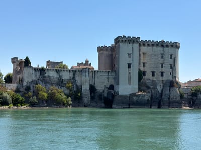 The image shows a wide, slow-moving river in the foreground, its surface a dappled turquoise and green under a clear, bright sky. The water is calm, with gentle ripples.

Dominating the background is a large, ancient stone castle situated on a rocky outcrop overlooking the river. The castle is a complex structure with several towers and crenellated walls. The main building is a pale, stone fortress with numerous windows and a formidable, imposing appearance. To the left, older, more ruined sections of the castle are visible, with gaping archways and crumbling battlements. A tall, dark green cypress tree stands beside one of these older sections. The castle's stone walls appear weathered and ancient, suggesting a long history.

Greenery, including trees and bushes, grows on the slopes leading down to the river and is also visible on the castle grounds. In the far right background, a glimpse of a town with terracotta-tiled roofs can be seen, suggesting the castle is near a settlement.

The scene is bathed in bright daylight, indicative of a sunny day, likely midday or early afternoon. There is no visible text in the image. The overall impression is one of historical grandeur and a picturesque, tranquil riverside setting. The location is Beaucaire, France.