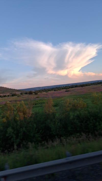 This image depicts a scenic landscape with a sky full of wispy clouds tinged with pink and orange from the setting sun. A vast field of purple flowers stretches across the midground, bordered by trees and a body of water in the distance. The foreground features a roadside barrier made of concrete and metal, suggesting the view is from a road or elevated pathway. The overall impression is one of natural beauty and tranquility during the golden hour. The image appears to be taken in Mazul'skiy, Russia, given the provided location context. No people, text, or specific activities are visible.