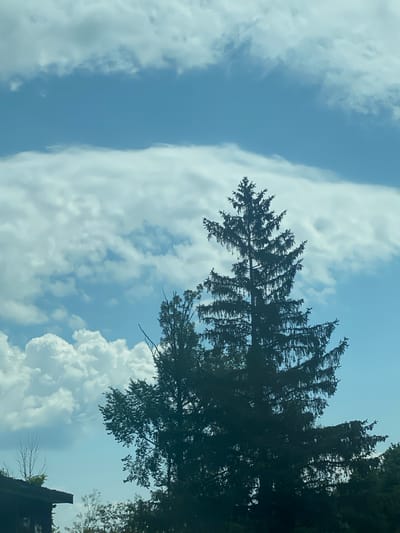 This image depicts a silhouetted evergreen tree against a cloudy blue sky. The tree, which appears to be a spruce or fir, is in the foreground and is a dominant element of the scene. Its branches are dense and layered, with many small needles visible. Behind the tree, the sky is filled with a mixture of white, puffy cumulus clouds and more wispy, stratiform clouds. The overall impression is one of a clear, though partly cloudy, day. The bottom left of the image shows the dark roof of a building, possibly a house or shed, suggesting an outdoor setting. There are no people or discernible actions taking place in the image. The lighting suggests it is daytime, likely afternoon, given the brightness of the sky and the contrast of the silhouette. The location is identified as Grenville, Canada.