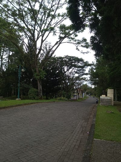 A paved road curves through a green landscape, lined with tall trees. A vintage street lamp stands beside the road. On the right, stacked concrete blocks border the road. Two vehicles are visible further down the road, one possibly a motorcycle. The scene suggests a park or residential area. The sky is overcast.