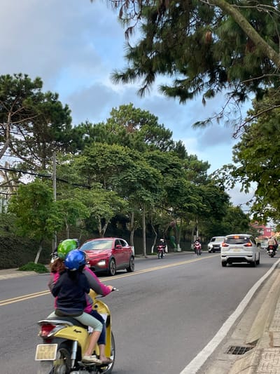 In Thành Phố Đà Lạt, Vietnam, a road lined with lush green trees and pine trees leads uphill. The sky is cloudy, suggesting it might be late afternoon or early evening. Several vehicles are present on the road, including a white SUV and a red car, both moving uphill. A few motorcycles are also on the road. In the foreground, two people are riding a yellow scooter. The rider in front wears a blue helmet and a dark jacket, while the person behind them has a green helmet and appears to be wearing a pink and blue jacket and light-colored pants. They are both looking forward, and their posture suggests they are traveling. The overall scene depicts a moment of transit on a scenic road, possibly a common sight in this mountainous region of Vietnam. There is a license plate visible on the yellow scooter, but the text is illegible.