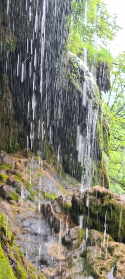 This image captures a close-up, low-angle perspective of a natural waterfall located in Ribaritsa, Bulgaria. The foreground is dominated by numerous vertical streaks of white and translucent water, indicating rapid movement and creating a semi-transparent curtain effect. Behind this falling water, a dark, rugged cliff face is visible, heavily textured and largely covered in vibrant green moss and various small plants, particularly on the left and center. On the right side, a distinct cascade of water flows down the moss-covered rock, distinct from the foreground curtain. The ground below the falls consists of an uneven terrain of moss-laden rocks and damp earth, with visible pooling and splashing of water at the base. In the blurred background, beyond the immediate rock face, lush green deciduous trees and foliage are apparent, suggesting a dense, natural forest environment. The lighting is natural and diffused, highlighting the wet surfaces and verdant vegetation. No human figures or man-made objects are present within the frame.