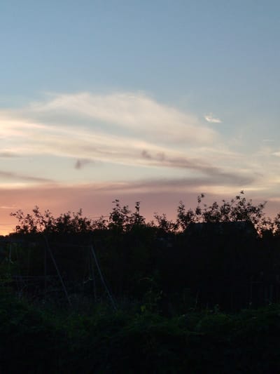 This media file depicts a serene rural landscape at dusk. The sky is a soft gradient of blues and pinks, with wispy clouds streaked across it, indicating a clear or partly cloudy evening. Below the sky, a silhouette of trees and vegetation forms a dark, dense line across the midground. Within this foliage, a rudimentary swing set is visible, suggesting a backyard or recreational area. The overall mood is peaceful and tranquil, evoking the quiet end of a day. The presence of the swing set hints at a domestic or family setting. The time of day is clearly sunset or twilight, as evidenced by the colors in the sky and the silhouettes. The location context provided places this scene in Үштөбе, Kazakhstan. No visible text is present in the image.
