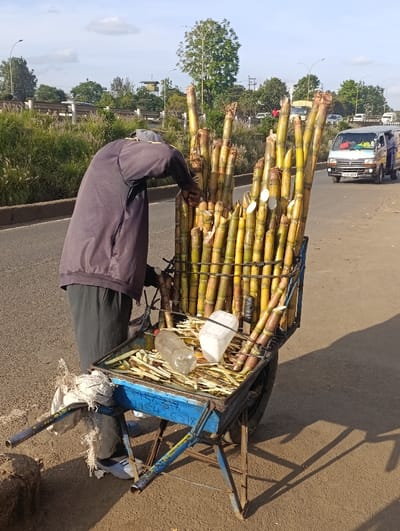 The image portrays an outdoor scene in Kiuu ward, Kenya, featuring a solitary individual engaged in sugarcane preparation or vending beside an asphalt road. The person, positioned with their back partially to the camera, wears a dark long-sleeved shirt and dark trousers, and a grey cap, bending forward over a two-wheeled blue metal pushcart. The cart is heavily loaded with numerous stalks of light green and yellowish sugarcane, arranged vertically and horizontally. The cart's tray contains peeled sugarcane pieces, a clear plastic water bottle, and a white plastic container. The number "795436218" is visible on the side of the blue cart frame. The scene is illuminated by daylight, casting distinct shadows on the ground. Adjacent to the road is a grassy verge with tall vegetation and trees in the background. A light-colored minibus (matatu) with a license plate beginning "KBU" is visible on the road in the mid-ground, moving away from the viewer, with other distant vehicles. Streetlights are also discernible in the background.