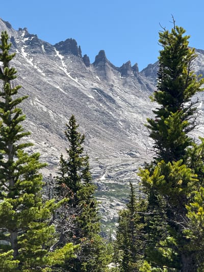 An outdoor, mid-range shot captures a mountain range with a bright blue sky above. In the foreground, several evergreen trees obscure parts of the mountain. The mountain itself is rocky and steep, with scattered patches of snow. Several sharp peaks rise from the ridgeline. The trees are green and lush, with visible cones. The overall scene is one of a natural, mountainous landscape under a clear sky. The specific location is the city of Allenspark, United States.