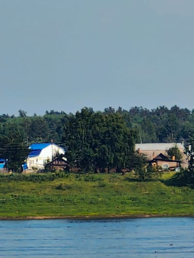 The image shows a rural landscape in Potapovo, Russia. A body of water is in the foreground, with a green, grassy embankment rising behind it. On the embankment, several houses are visible, nestled among dense green trees. One house in the left-center of the image has a white body and a bright blue roof. Another house to its right appears to be a lighter color with a grey roof and visible chimneys. The background is filled with a wall of green trees. The sky above is a pale, clear blue. The overall scene depicts a tranquil, possibly summer day in a rural Russian setting.