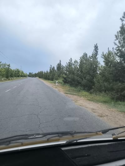 The image depicts a view from inside a vehicle looking out at a rural road in Кияли-Курганча, Uzbekistan. The road is paved with asphalt and shows signs of wear, with visible cracks. It is a two-lane road with a white dashed line dividing the lanes. On the right side of the road, there is a row of tall, dark green coniferous trees. Further down the road, there are a few vehicles visible, appearing to be stopped or moving slowly. On the left side of the road, there is a line of deciduous trees with lighter green foliage, interspersed with utility poles. The sky is overcast with a pale, diffused light. The foreground of the image shows the vehicle's windshield and wipers. The environment appears to be dry with patches of grass and dirt visible along the roadside.