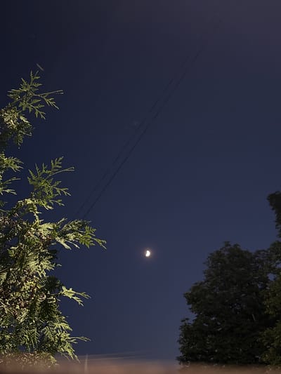 A nighttime outdoor scene shows a dark blue sky with a crescent moon. On the left side of the frame, a coniferous tree with green needles is illuminated from the side. On the right side of the frame, a deciduous tree with dark foliage is visible. Two thin dark lines, possibly power lines, stretch diagonally across the sky. The bottom of the frame shows a blurred horizontal band of light, suggesting a street light or similar illumination source. There are no people or animals present in the image. The scene is set in Valky, Ukraine.