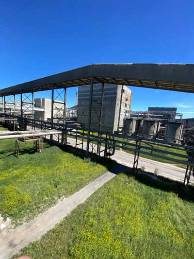 The image depicts an industrial complex on a clear, sunny day. A large, covered conveyor belt structure dominates the foreground, supported by metal beams. Beneath this structure, various pipes and industrial buildings are visible. In the middle ground, there are several large cylindrical tanks and a tall, multi-story building with a weathered facade. A paved road runs through the industrial area. The ground is covered in lush green grass dotted with numerous small yellow flowers, suggesting a rural or semi-rural setting. The sky is a vibrant, cloudless blue. There are no people visible in the image. The overall scene is one of industrial infrastructure surrounded by natural vegetation. Based on the provided information, the location is the city of Police, Poland.