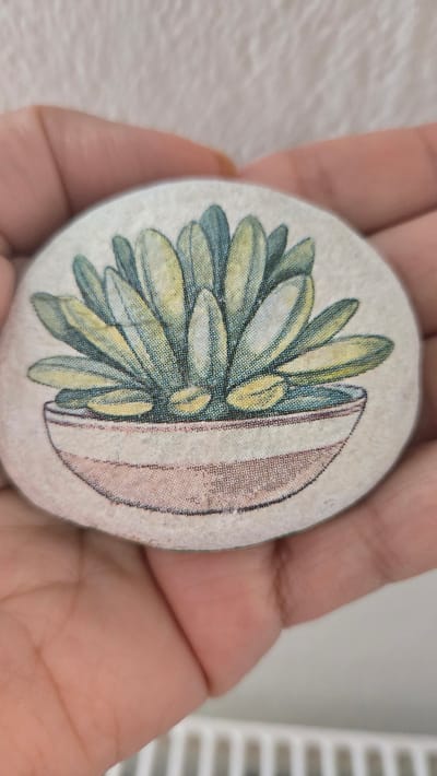 A close-up, top-down shot shows a person's hands holding a circular, flat object. The object features a printed image of a succulent plant in a pink and white striped pot. The plant has thick, light green leaves with yellow accents. The background is a textured, off-white surface. The image is not in Agía Marína, Greece; it is a still life in a neutral, indoor setting.