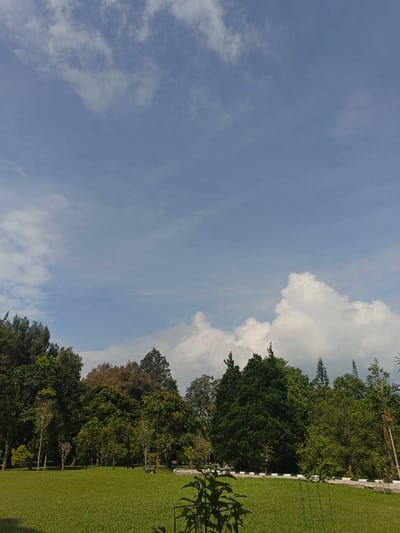 A vibrant green lawn stretches out towards a line of dense trees under a bright blue sky. Fluffy white clouds dot the sky, adding depth to the scene. The trees vary in height and shade, creating a natural backdrop. A hint of a paved path is visible along the edge of the lawn, offering a subtle structure to the otherwise organic environment.