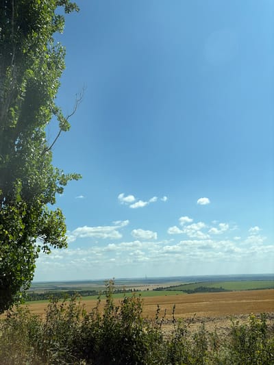 The image captures a wide-angle, landscape view under a clear blue sky with scattered white clouds. In the foreground, on the left side, a large tree with lush green foliage dominates the frame. A line of green bushes runs across the lower portion of the image. Beyond the bushes lies a harvested field, appearing as a textured expanse of golden-brown stubble, transitioning into a green field further in the distance. A horizon line is visible, marked by a band of trees and rolling hills. A single wind turbine can be seen on the left side of the horizon. The overall scene suggests a rural or agricultural environment. The location is identified as Molovata, Moldova. There are no people or animals visible in the image.
