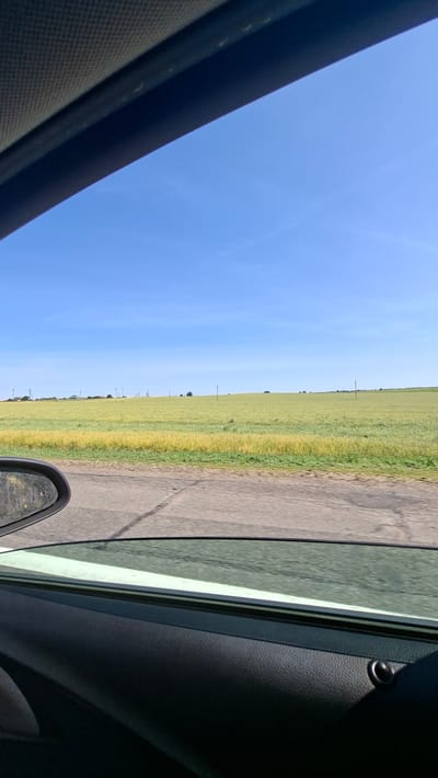 The image depicts a view from inside a vehicle looking out a window at a landscape. In the foreground, the interior of a car is visible, including the car door panel and the edge of the window frame. The window itself reflects the sky and the surrounding environment, showing the side mirror of the vehicle which is partially obscured by dirt and water.
Beyond the car, a vast, flat field stretches towards the horizon. The field is covered in green and yellow vegetation, suggesting a cultivated crop or natural meadow. Scattered across the field are utility poles and a few distant trees and buildings. The sky is a clear, bright blue, with no clouds visible. The overall scene conveys a sense of rural, open space.
The provided hint specifies the location as Лугаваслабадскі сельскі Савет, Belarus. This implies the image was taken within this rural administrative region of Belarus.