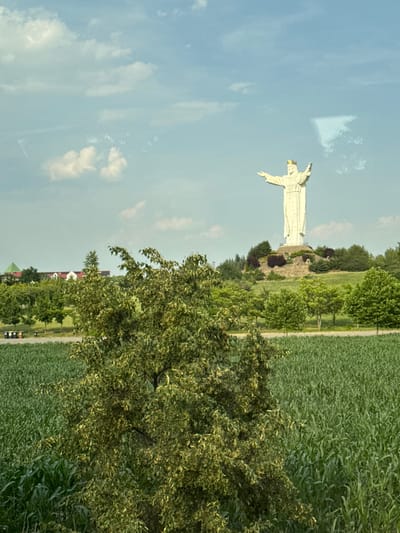 The image shows a large white statue of Jesus Christ with outstretched arms and a golden crown, located in Świebodzin, Poland. The statue is situated on a man-made mound, surrounded by greenery and trees. In the foreground, there is a field of green crops, possibly corn, and a tree with dense foliage. In the background, there are some buildings with red roofs and a clear blue sky with scattered clouds. The statue is the dominant feature of the scene, standing tall against the sky. There are no people visible in the image.