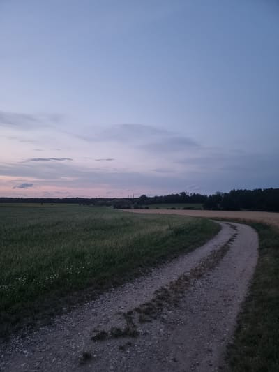 This is a landscape photograph taken at dusk in Pohránov, Czechia. The image depicts a winding dirt road curving through fields of green grass and golden crops. In the distance, a line of dark trees forms the horizon, with hints of industrial structures visible beyond them. The sky above is a gradient of pale blue and soft pink, with a few wispy clouds. The overall impression is one of a peaceful rural setting at the end of the day.