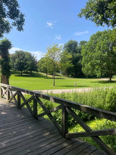 The image shows a wooden footbridge in a park-like setting. The bridge is made of dark wood planks, with a wooden railing constructed from diagonal supports. The bridge leads over a narrow body of water covered in bright green algae or duckweed. Beyond the bridge, a large, well-maintained green lawn stretches out, dotted with several trees of varying sizes. A gravel path winds through the lawn. In the background, more trees form a dense backdrop, and a hint of a building with a red-tiled roof can be seen through the foliage. The sky is blue with scattered white clouds. The scene is brightly lit, suggesting it was taken on a sunny day. The location is the Renaissance manor house, Løvebakke in Horsens, Denmark, which features extensive park grounds. No people are visible in the image.