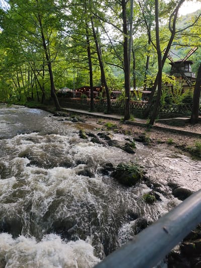 The image shows a rapidly flowing river in a wooded area. On the riverbank, there's a wooden structure resembling a windmill, and a building with lighted decorations, possibly a restaurant or cafe. The trees are tall and green, indicating a natural setting. A metal railing is visible in the foreground, suggesting the photograph was taken from a bridge or elevated platform. The location is identified as Parvenets, Bulgaria.
