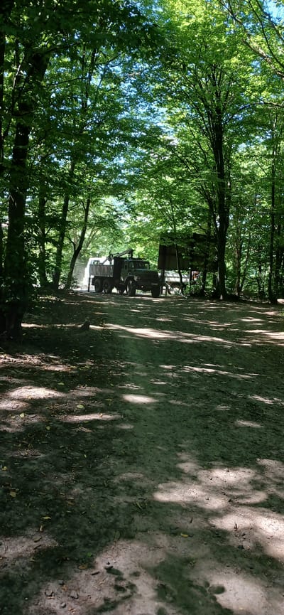 This image depicts a scene in a wooded area, likely a dirt road or path, with sunlight dappling through the dense green foliage. The trees form a canopy overhead, with bright sunlight filtering through the leaves, creating a pattern of light and shadow on the ground.

The primary objects visible are two vehicles. The one in the foreground appears to be a military-style truck with a crane attachment. It is dark green and has multiple wheels. Behind it, another truck or trailer is partially visible, appearing lighter in color and possibly white. The vehicles suggest an activity related to forestry, construction, or perhaps a military exercise.

The setting is a natural environment, characterized by lush greenery and a dirt surface. The time of day appears to be daytime, likely late morning or early afternoon, given the bright sunlight. The weather seems to be fair, with clear skies suggested by the bright light.

There is no discernible text visible in the image. The overall mood is one of activity and natural beauty, with the sunlight and shadows adding a dynamic element to the scene. The location context of Lisovi Hrynivtsi, Ukraine, places this scene in a specific geographical area known for its natural landscapes.