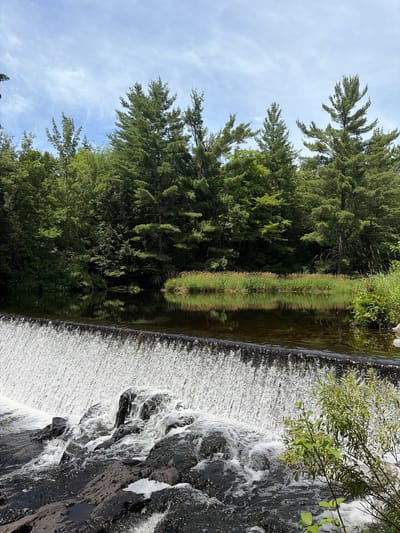 This image captures a natural scene in Addington Highlands, Canada, featuring a wide, low waterfall cascading over dark rocks. The water is frothy at the base of the falls. Above the waterfall, a calm body of dark water reflects the surrounding environment. The background is dominated by a dense forest of evergreen trees and other lush green foliage. The sky above is partly cloudy with wisps of white clouds against a light blue expanse. The overall impression is one of a serene, natural landscape.