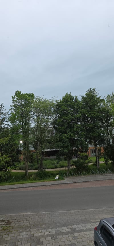 In Marum, Netherlands, an outdoor scene captures a row of trees with lush green foliage lining a walkway. Beyond the trees, a building with multiple floors is visible, featuring windows and balconies. A paved road runs in the foreground, bordered by a sidewalk constructed of grey paving stones. A grey SUV is parked on the right side of the sidewalk. The sky above is overcast, with a pale, light grey hue.