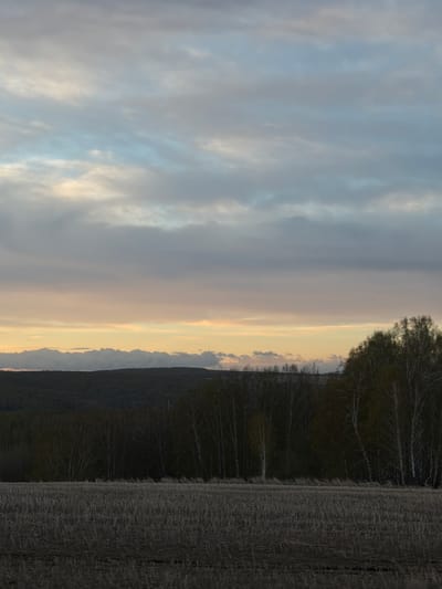 The image depicts a landscape with a clear division between the sky and land. The left side of the frame shows a cloudy sky, with colors ranging from blue to gray and white, suggesting either dawn or dusk. The right side features a dark, dense area that appears to be a forest or wooded area, alongside what seems to be a textured field or grassland. The coloration indicates it may be twilight or near darkness on the land portion. There's no immediate evidence of human presence or cityscapes, and the location, Krasnaya, Russia, isn't visually verifiable within the frame without further context.