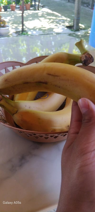 A close-up, horizontally oriented photograph shows a person's hand holding several bananas, which are resting in a brown basket. The hand, with light brown skin, is visible in the upper right quadrant of the image, gently supporting one of the ripe, yellow bananas.

The bananas are the central focus, appearing mostly yellow with some greenish hues, suggesting they are ripe or nearing ripeness. One prominent banana displays distinctive, elongated brown blemishes or scratches on its skin. Another banana has a small, circular blue and yellow sticker, possibly a brand label, though the text on it is illegible. The bananas are contained within a brown basket, which appears to be made of plastic with a decorative, perforated pattern along its rim.

The background suggests an outdoor setting on a sunny day. Bright, dappled sunlight casts distinct tree shadows onto a light-colored surface, possibly concrete or a patio floor. Green foliage is visible in the background, along with what appear to be terracotta-colored potted plants on the far left. The overall scene conveys a bright, natural environment.

In the bottom right corner, the text "Galaxy A05s" is visible, indicating the camera or device used to capture the image.