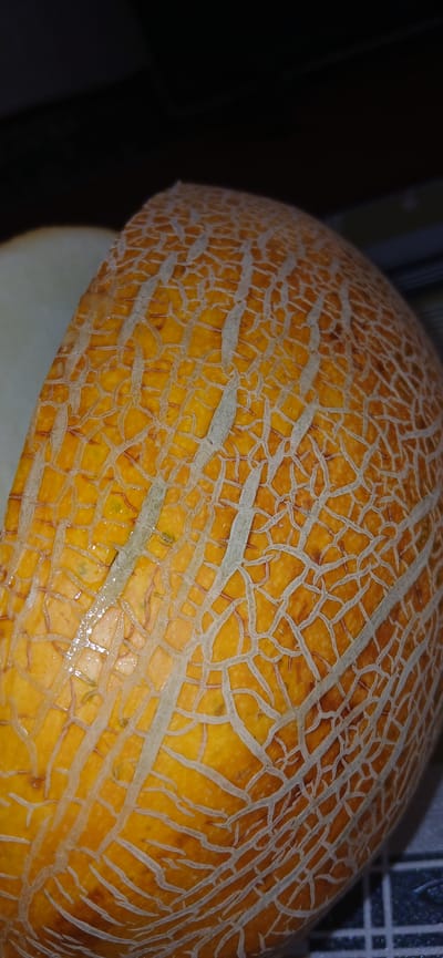 A close-up, macro photograph shows the textured, orange rind of a cantaloupe melon. The melon's surface is covered in a network of fine, pale yellow lines, resembling a cracked pattern. Some of these lines are thicker and more pronounced, running vertically and horizontally across the fruit's curvature. The rind appears moist and slightly reflective, suggesting it might have been recently washed or is naturally juicy. The background is dark and out of focus, with a hint of a white object to the left, possibly another piece of fruit or a light source. The overall lighting is dim, casting a subtle glow on the melon's surface and highlighting the intricate details of its rind. This image does not provide any information or context related to the city of Mailuu-Suu City, Kyrgyzstan.