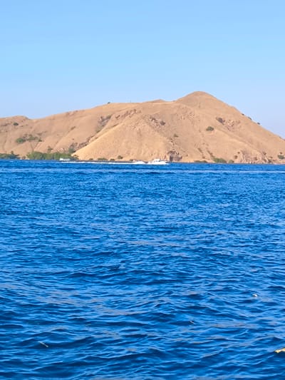 The image depicts a serene coastal landscape under a clear blue sky. In the foreground, the deep blue ocean exhibits gentle ripples, with a few small pieces of debris visible on the surface. The midground features a line of white boats sailing across the water, creating a subtle white wake. Behind the boats, a lush green treeline marks the edge of a mountainous island. The island itself is characterized by its dry, golden-brown slopes dotted with sparse vegetation and some scattered rocks. The overall scene suggests a bright, sunny day in a tropical or subtropical coastal region, consistent with locations like Pasir Putih, Indonesia, known for its beautiful beaches and clear waters. There are no people visible in the image.