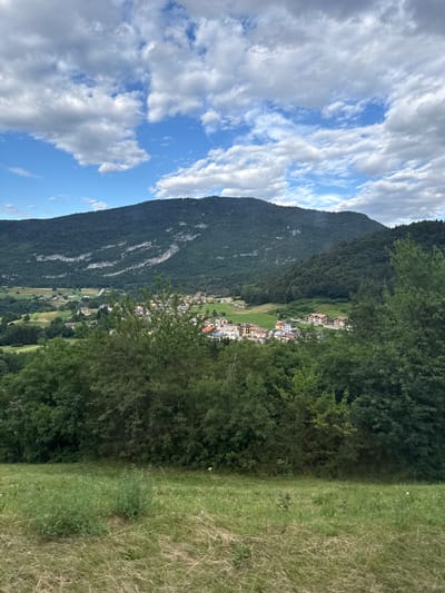 The image depicts a scenic overview of a valley in Cavedago, Italy, under a partly cloudy sky. The foreground is dominated by a grassy field, with some areas of dry grass. Beyond the field, a dense line of green trees forms a natural barrier. In the midground, a small village is nestled in the valley, characterized by multi-story buildings with red-tiled roofs. The village is surrounded by green pastures and agricultural fields. The background features a large, densely forested mountain, with some exposed rocky outcrops and a lighter, mountainous ridge line visible towards the top. The overall scene conveys a sense of rural tranquility and natural beauty.