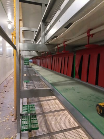 An interior view of a poultry farm building in Motilla del Palancar, Spain, shows rows of stacked cages with a green conveyor belt running along the bottom. Red plastic dividers hang between cage levels. A yellow support pole is visible on the left, and a portion of a yellow power tool is on the conveyor belt in the foreground. The floor is a metal grate, and debris is scattered on the concrete floor to the left. Fluorescent lighting is visible on the ceiling.