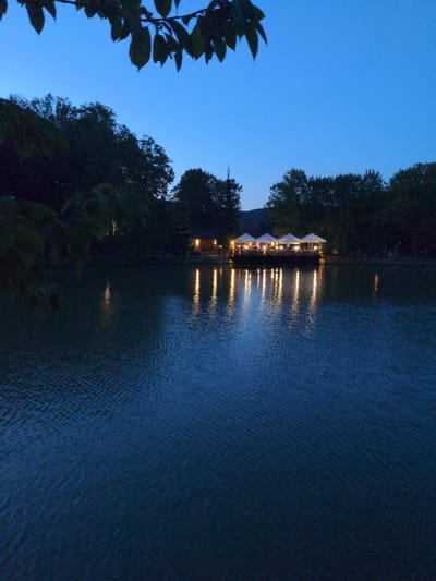 At dusk, a tranquil body of water reflects the illuminated structures and surrounding trees on the opposite bank. The sky is a deep, clear blue, transitioning to darker shades at the horizon. In the foreground, dark green leaves and branches hang from the left edge of the frame, partially obscuring the view.
On the far bank, several white tents or umbrellas are set up, illuminated from within, suggesting a gathering or outdoor dining area. A building with lights is visible behind the tents. The lights from these structures cast shimmering reflections on the water's surface, creating streaks of yellow and white. The water itself has a slightly rippled texture, indicating a gentle movement. The background is dominated by the dark silhouettes of trees, creating a sense of depth and enclosure. The overall atmosphere is peaceful and serene, with the illumination from the tents providing a warm contrast to the cool evening sky and water. This scene is situated at the "Golden Fish" restaurant in Сонячне, Ukraine.