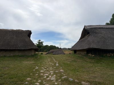 This image depicts the Viking Village of Njålsgjá, located in Allerslev, Denmark. The scene features several reconstructed Viking longhouses with thatched roofs, constructed from natural materials such as wood and clay. A cobblestone path leads through a grassy field towards the center of the village. In the background, a line of trees and rolling hills are visible under a partly cloudy sky. The village appears to be unoccupied, with no people or animals present. The overall atmosphere is serene and historical, evoking a sense of the Viking era.