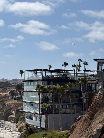 The image shows a multi-story building with glass facades and a rooftop seating area, located in Puerto Nuevo, Mexico. The building is situated on a cliff overlooking a beach. Several palm trees are scattered around the building, and some people are visible on the rooftop. Two seagulls are flying in the sky above. The sky is blue with scattered white clouds. The environment appears to be a coastal area with dry, rocky terrain and vegetation.