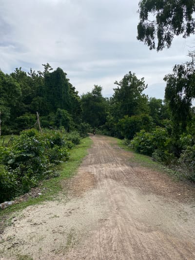 A dirt road winds through dense, green foliage under a cloudy sky in Ko Siboya, Thailand. The road is mostly flat, with some textured patches of dirt and gravel. On the left side of the road, lush green bushes and trees are overgrown. On the right side, the vegetation is also dense and extends to the edge of the road. In the distance, a person is seen riding a motorcycle on the dirt road, heading away from the viewer. The trees are tall and leafy, with some branches reaching out over the road. The overall impression is one of a natural, somewhat untamed environment within the island.