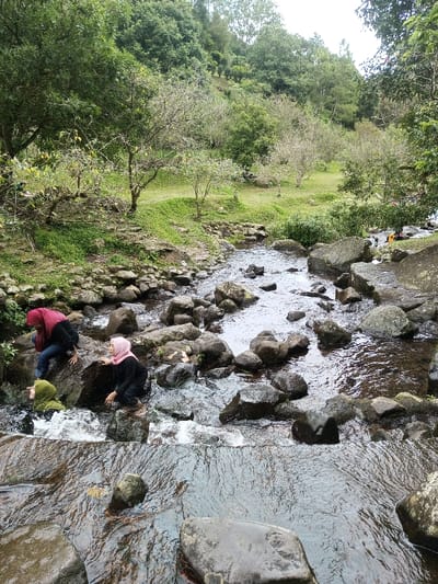 A river filled with rocks flows downhill. Three women wearing hijabs are situated among the rocks, one submerged in the water, one kneeling, and another crouched, reaching out. Beyond the riverbank, a grassy area leads to a forested hillside, with a mix of trees visible. A few people are partially visible further down the river.