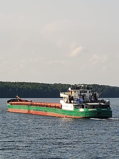 In a wide shot, a large cargo ship, painted green and red, sails on a calm, blue body of water. The ship is oriented towards the right of the frame, with its bow on the left. The cargo hold, visible on the port side, is filled with dark material, possibly logs or debris. The ship's superstructure, located towards the stern, is a multi-level white structure with various windows and equipment. The name "ДОБРЫНЯ" is visible in green letters on the stern. A lush, dark green forest lines the distant shore, contrasting with the bright sky, which features scattered white clouds. The overall impression is one of a serene, natural setting, with the ship being the primary man-made element. This scene could be taking place on the Volga River near the town of Ivanovo, formerly known as Irma, Russia.