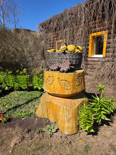 The image shows an outdoor scene in Uspenskii, Russia, featuring a rustic building with an exterior covered in vines and a yellow-framed window. In front of the building sits a decorative wooden bench carved with leaf patterns, along with a basket filled with yellow spherical objects resembling gourds or squash. The bench is surrounded by various plants and greenery, including some with red flowers. The ground is a mix of dirt and grass. The sky is visible in the upper left corner and is blue. The scene is well-lit, suggesting a sunny day.
