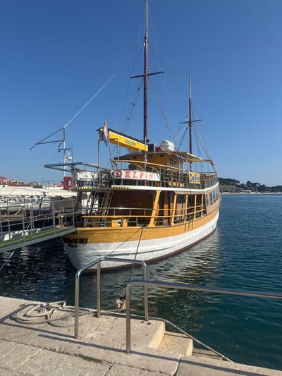 A docked passenger ferry, the Delfin, is moored at a concrete pier in Grad Rovinj, Croatia. The vessel, predominantly tan and white, features two masts with rigging extending against a clear blue sky. The hull runs parallel to the pier, reflecting in the calm water. A gangway connects the vessel to the pier, providing access. The pier is equipped with metal railings and cleats securing the ferry. In the background, buildings and trees line the coastline.