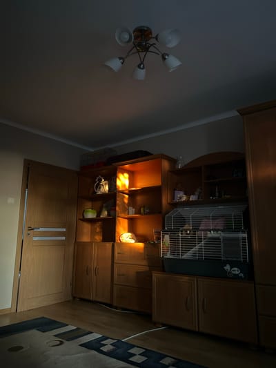 The image depicts an indoor scene, likely a living room, at night. The room is illuminated by a ceiling light fixture with multiple lamps, as well as light streaming in from a partially open wooden door on the left. The room contains a wooden shelving unit filled with various objects, including decorative items, books, and two hamster cages. The shelves are lit from within, casting a warm glow. A carpet with a geometric pattern is visible on the wooden floor. The overall atmosphere is dimly lit and cozy. The location is identified as Skawina, Poland.