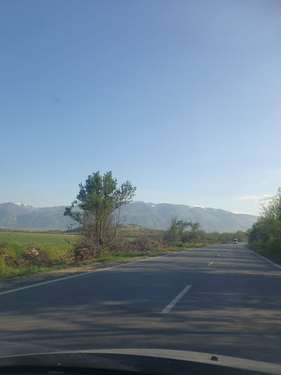 The image, when correctly oriented, captures a scenic roadside view through a mountainous region, specifically Marino Pole, Bulgaria. An asphalt road dominates the right side of the frame, extending into the distance. It features clear white dashed lines marking the lanes and a solid white line along its right edge. Long, dark shadows, likely cast by unseen trees, stretch across the road, suggesting early morning or late afternoon sunlight.

To the left of the road, a lush green landscape unfolds, starting with dense bushes and a prominent leafy tree in the foreground. Beyond this, a wide expanse of green fields leads to a series of distant, hazy mountains. Several of these mountains display distinct patches of white, indicative of snow or bright rock faces.

The sky, occupying the upper left quadrant, is a clear, bright blue with minimal cloud cover, suggesting fair weather. A faint, thin white contrail from an airplane is visible high in the sky. Far down the road, a small, light-colored vehicle, possibly a car or van, can be seen, highlighting the vastness of the road ahead. The scene conveys a sense of peaceful travel through a beautiful natural environment. No text is visible in the image.